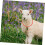 Adjustable Sheep Collar with Copper Bell, Reflective Design and Quick Release for Livestock Tracking 5