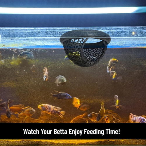 2pack Compacts Fish Rest Bed Suitable for Small Bettas Bowls and 1