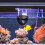 Soft Bettas Fish Hammocks Aquariums Decoration Providing Rest 5