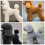 Pet Grooming Training-Grijs poedelhaar 6