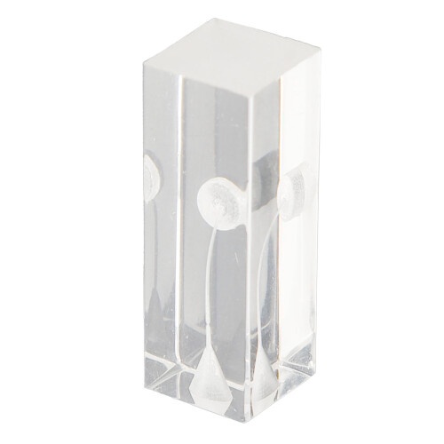 Acrylic Clear Root Canal Practice Model, Curved Oral Endodontic Display 1
