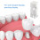 Acrylic Clear Root Canal Practice Model, Curved Oral Endodontic Display 8