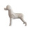 Pet Grooming Training Haarschoonheidsspecialiste-Bichon-model 1