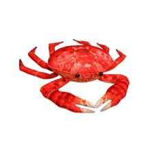 Mooi realistisch krabvormig PP-katoenen speelgoed-55 Koningskrab