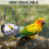 Portable Bird Cage Travel Bag 6