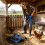 Durable All Metal Chicken Waste Shovel Featuring-Black 6