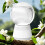 Artistic Upside Down Glass Globe Aromatherapies-Honey Peach 7