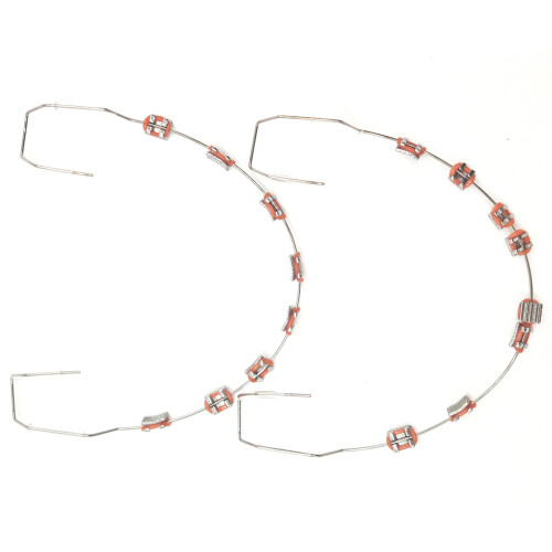 Orthodontic Training Model with Durable Metal Brackets, Orange Dental Practice Prop for Students 2