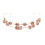 Orthodontic Training Model with Durable Metal Brackets, Orange Dental Practice Prop for Students 5