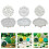 Festival StPatricks Theme Silicone Mold For Creating-S2658 3