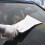 Long Auto Squeegee for Vehicle Windshield, 3915cm, White, ABS 3