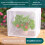 Couverture de serre pliable portative pour la protection des 2