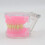 Dental Typodont Model with Detachable Teeth for Medical Teaching, Study and Practice 4