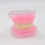 Dental Typodont Model with Detachable Teeth for Medical Teaching, Study and Practice 5