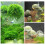 Plastic Moss Ball Filter for Fish Tanks, 5x3cm Decorative Ball 1