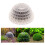 Plastic Moss Ball Filter for Fish Tanks, 5x3cm Decorative Ball 2
