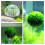 Plastic Moss Ball Filter for Fish Tanks, 5x3cm Decorative Ball 6