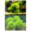 Plastic Moss Ball Filter for Fish Tanks, 5x3cm Decorative Ball 8