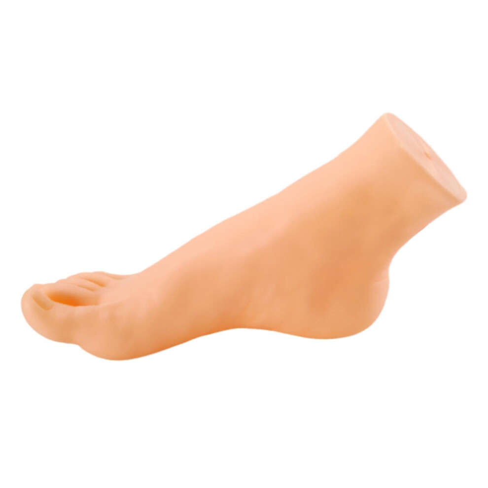 Mannequin Foot Display Pvc Male Right Realistic Model For Socks Shoes Jewelry Photography 9455672888684