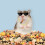 Ausgewogenes Hamsterfutter, gefriergetrocknetes Hamsterfutter, 1100g/2,4lb 5