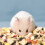 Ausgewogenes Hamsterfutter, gefriergetrocknetes Hamsterfutter, 1100g/2,4lb 7