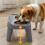 Durable Plastic Dog Container Flexible Frame Easy Cleaning-S 7