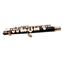 Professional Piccolo Trumpet Model 750 in C and Bb Black and Gold with Case and Cleaning Kit