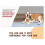 Distributeur de nourriture interactif pour chiens, Puzzle-Vert 7