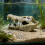 Multipurpose Aquarium Ornament for Shrimp Breeding and Fish-6 4