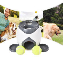 Futterspender Hund Puzzle Leckerli