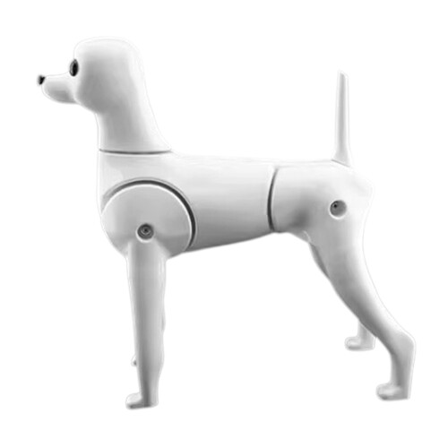 Realistic Pet Grooming Hair or Skeleton Model For-tedy model