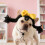 Perruques de mode pour animaux de compagnie, postiche pour-Noir 6