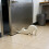 Butoir de porte créatif en forme de chat avec base-Blanc 6