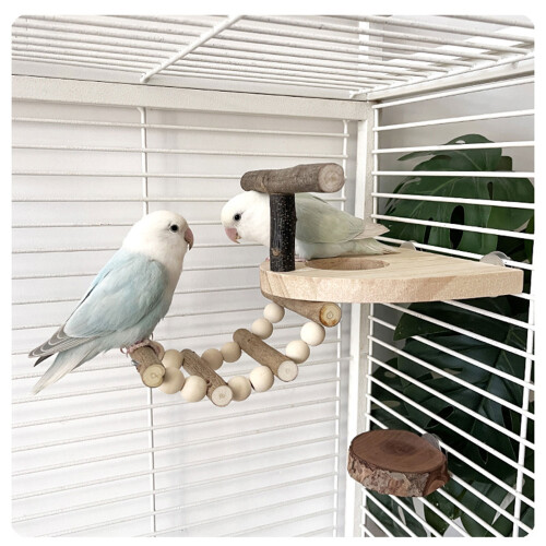Plate-forme d'échelle de repos de divertissement pour animaux de 1
