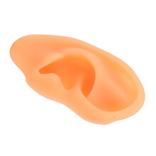 Ear Model Simulation Silicone Display for Hearing Aid and Ear Practice
