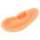 Ear Model Simulation Silicone Display for Hearing Aid and Ear Practice 13
