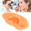 Ear Model Simulation Silicone Display for Hearing Aid and Ear Practice 14