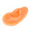 Ear Model Simulation Silicone Display for Hearing Aid and Ear Practice 16