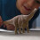 Schleich Figurine Brontosaurus, Schleich 15051 Dinosaurs 3