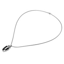Pet Ashes Necklace Stainless Steel Cremation Urn Pendant 34x16mm