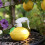 Practical Sprays Watering Can With Safety Lock And-2 3