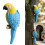 Realistic Parrots Statue,Garden Decorations Bird-Red 3
