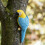 Realistic Parrots Statue,Garden Decorations Bird-Red 6