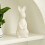 Minimalistisch keramisch konijnornament decoratief-Wit 5