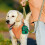 Support de sac de ramassage de crottes de chien,-Jaune 5
