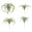 Simulation Artificial Air Plant Plastic Greenery Succulents-2 2