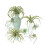 Simulation Artificial Air Plant Plastic Greenery Succulents-3 3