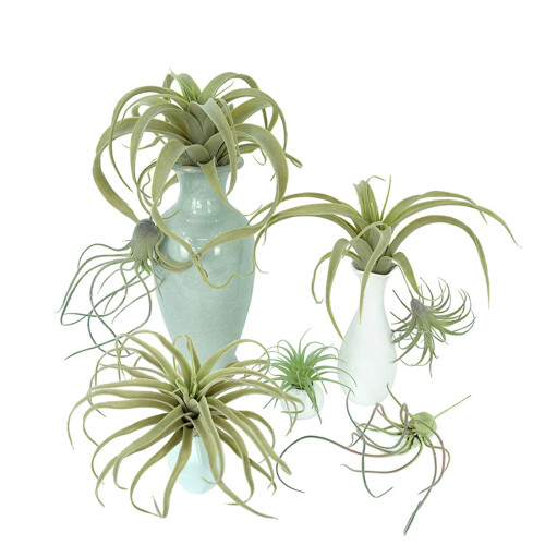 Simulation Artificial Air Plant Plastic Greenery Succulents-3 2