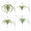 Simulation Artificial Air Plant Plastic Greenery Succulents-3 4