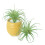 Simulation Artificial Air Plant Plastic Greenery Succulents-2 5
